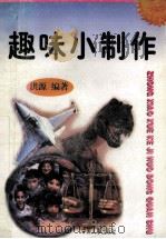 趣味小制作 1997 PDF电子版封面 7800768716 洪源编著