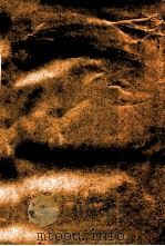 离必通风机 4-62型 4-62-2型 1958 PDF电子版封面 国营沈阳扇风机厂编