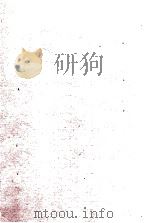 实用东语完璧  全（ PDF版）