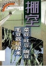 棚室菜豆 豇豆 豌豆 毛豆栽培技术 1999 PDF电子版封面 7534526299 刁阳隆等编著
