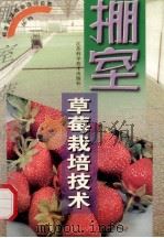 棚室草莓栽培技术 1999 PDF电子版封面 7534526337 马鸿翔编著