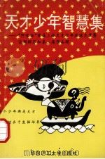 天才少年智慧集 “阿咪杯”首届上海天才少年选拔大奖赛试题解答和第二届预备题 1994 PDF电子版封面 756280463X 朱文涛,徐传东编著