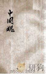 中国魂  全   1906  PDF电子版封面    饮冰室主人编 
