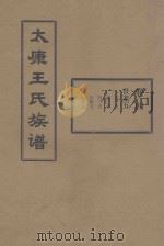 太康王氏族谱  卷4  世系五  东一支  东二支  东三支  东四支  东五支（ PDF版）