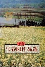 马春阳作品选 下 1997 PDF电子版封面 7539910801 马春阳著