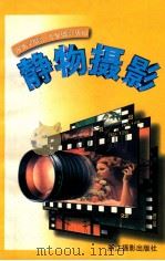 静物摄影 1997 PDF电子版封面 7805364419 李少文著