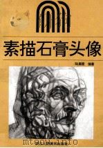 素描石膏头像 1995 PDF电子版封面 7534006678 陆嘉陵编著
