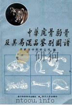 中药虎骨、豹骨及其易混品鉴别图谱 1990 PDF电子版封面 7536416733 成都市药材公司编