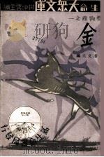 金 1933 PDF电子版封面 潘文夫编著