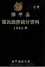 漳平县国民经济统计资料 1985年 1986 PDF电子版封面 漳平县统计局编