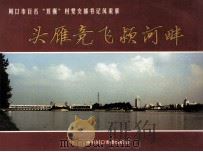 头雁竞飞颍河畔 周口市百名“双强”村党支部书记风采录 PDF电子版封面 中共周口市委组织部编;段金生主编;毛继宏副主编