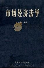 市场经济法学 1994 PDF电子版封面 7207030282 朱愚主编;张智利,王军,郎宏文,李长华副主编