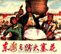 东海之滨大寨花 1972 PDF电子版封面 8·3·414 南汇县业余创作组编绘