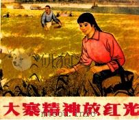 大寨精神放红光 1973 PDF电子版封面 8118·47 绵阳地区《大寨精神放红光》连环画创作组编绘