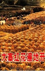 大寨红花遍地开（1970 PDF版）