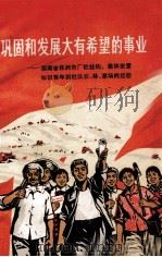 巩固和发展大有希望的事业 湖南省株洲市厂社挂钩、集体安置知识青年到社队农、林、茶场的经验 1976 PDF电子版封面 3109·411 中共湖南省委知识青年上山下乡工作领导小组办公室编