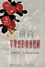 苹果整形修剪图解   1979  PDF电子版封面  16119·646  大寨农学院编 