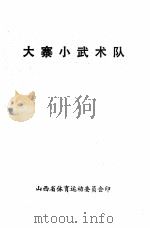 大寨小武术队（ PDF版）