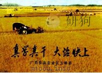 真学真干  大治快上  广西壮族自治区玉林县（ PDF版）