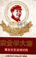 农业学大寨（ PDF版）