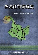 黑龙江市镇总览 1998 PDF电子版封面 7531634279 柳成栋等主编