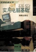 实用电脑基础 1996 PDF电子版封面 7543812681 李晓辉编著
