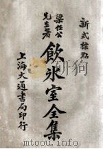 饮冰室全集 新式标点 9 卷17-18 1925 PDF电子版封面 梁任公著;陈益标点