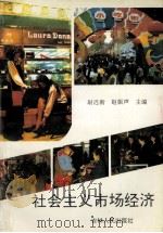 社会主义市场经济 1993 PDF电子版封面 720601951x 尉迟衡,赵振声主编