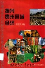 振兴贵州县域经济 1995 PDF电子版封面 7221038430 黄汉林主编