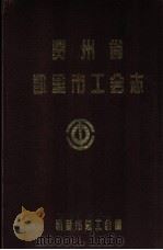 贵州省凯里市工会志 1995 PDF电子版封面 凯里市总工会志编