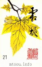 霜枫诗刊  第21期（1999 PDF版）