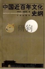中国近百年文化史纲 1991 PDF电子版封面 780573724x 胡维革,程舒伟著
