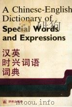 汉英时兴词语词典 1993 PDF电子版封面 7805672571 中央编译局文献编译室《汉英时兴词语词典》编写组编
