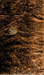 太祖高皇帝实录稿本三种 乙 下 1933 PDF电子版封面 罗振玉辑