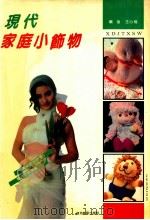 现代家庭小饰物 1992 PDF电子版封面 753940325X 王心耀编著