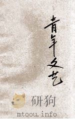 青年文艺 1933 PDF电子版封面 杨晋豪编