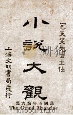 小说大观 第6集 1916 PDF电子版封面 包天笑编辑