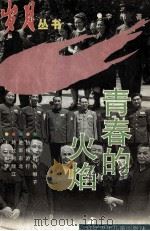 青春的火焰 1997 PDF电子版封面 7531528045 李伟著