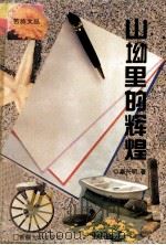 山坳里的辉煌 1994 PDF电子版封面 7563105484 高兴明著