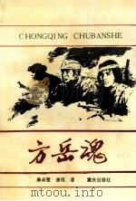 方岳魂 1994 PDF电子版封面 7536629699 秦卓莹,唐程著