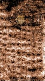 医门棒喝二集伤寒论本旨  卷3（1835 PDF版）