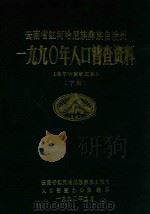 云南省红河哈尼族彝族自治州  一九九〇年人口普查资料（电子计算机汇总）  下（1992 PDF版）