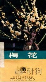梅花 1985 PDF电子版封面 16196·184 刘敦娴,周戎铠编著