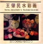 王肇民水彩画 1999 PDF电子版封面 753621877X 王肇民绘