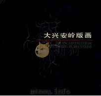 大兴安岭版画 1990 PDF电子版封面 7531800993 洪石主编