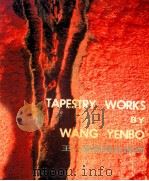 王一波壁挂作品选 1988 PDF电子版封面 7810190520 王一波绘