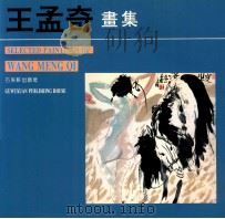 王孟奇画集 1992 PDF电子版封面 7805740097 王孟奇绘