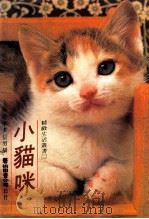 精致生活丛书 2 小猫咪 1985 PDF电子版封面 本多信男摄