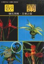 新养兰学一 国兰 日本兰 1976 PDF电子版封面 本社
