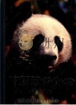 中国珍稀动物:读者文摘 1985 PDF电子版封面 9622580564 本书编辑委员会编;李勉民执行主编